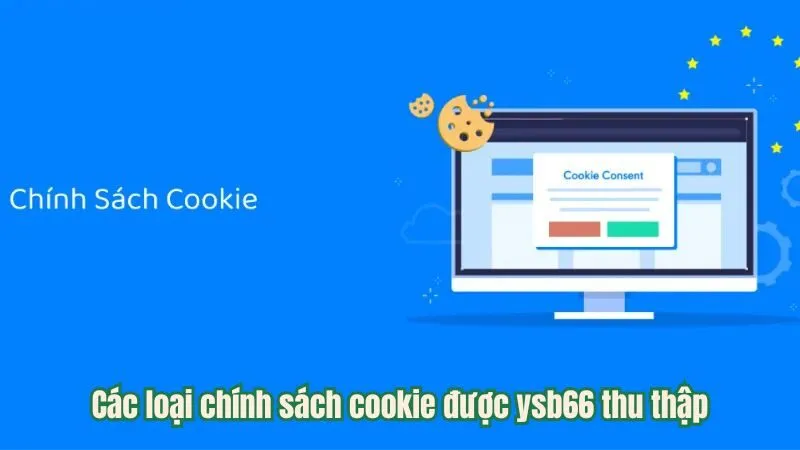 Các loại chính sách cookie được ysb66 thu thập