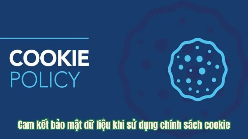 Cam kết bảo mật dữ liệu khi sử dụng chính sách cookie