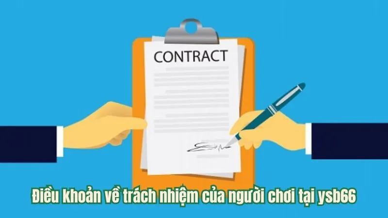 Điều khoản về trách nhiệm của người chơi tại ysb66