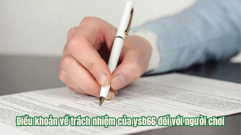 Điều khoản về trách nhiệm của ysb66 đối với người chơi