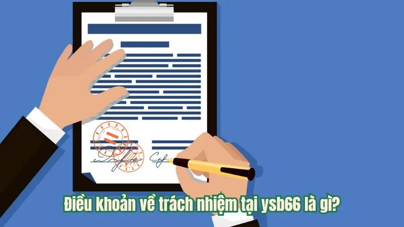 Điều khoản về trách nhiệm tại ysb66 là gì?