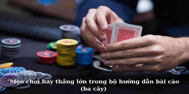 Mẹo chơi hay thắng lớn trong bộ hướng dẫn bài cào (ba cây)