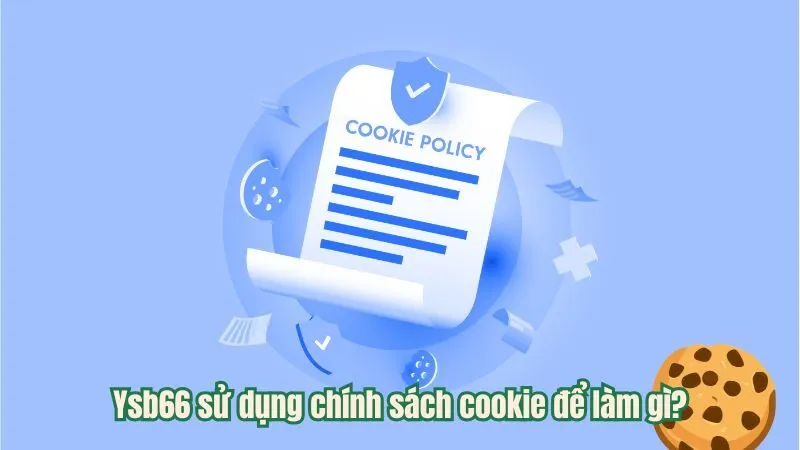 Ysb66 sử dụng chính sách cookie để làm gì?